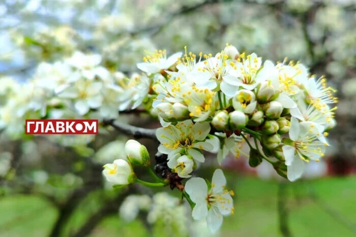 Мінлива хмарність на 25 квітня