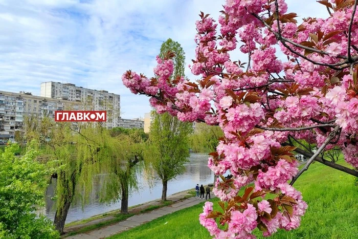Мінлива хмарність та без суттєвих опадів