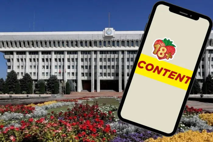 Kyrgyzstan completely banned adult websites