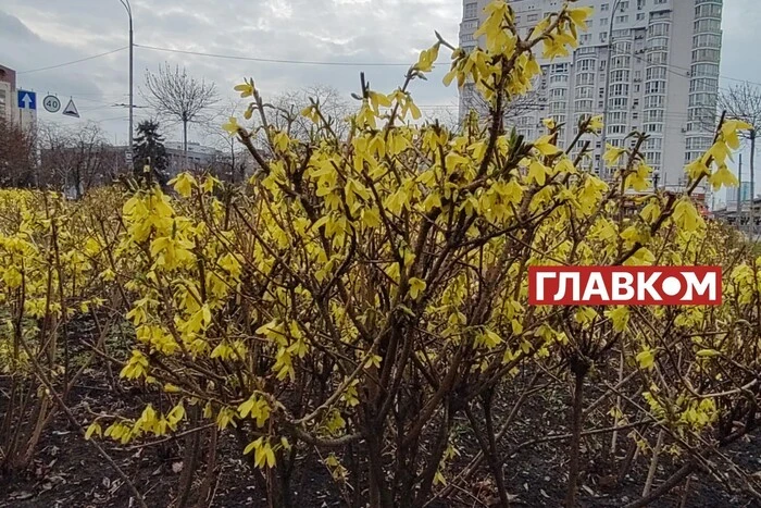 Прогноз погоды на 16 апреля