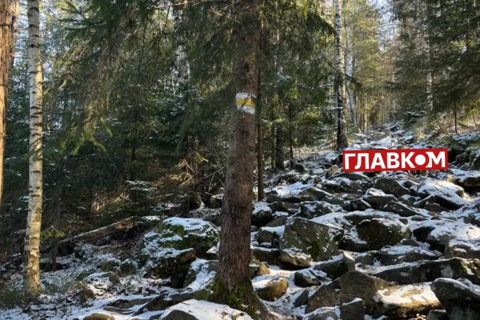Сніг та заморозки. Україна