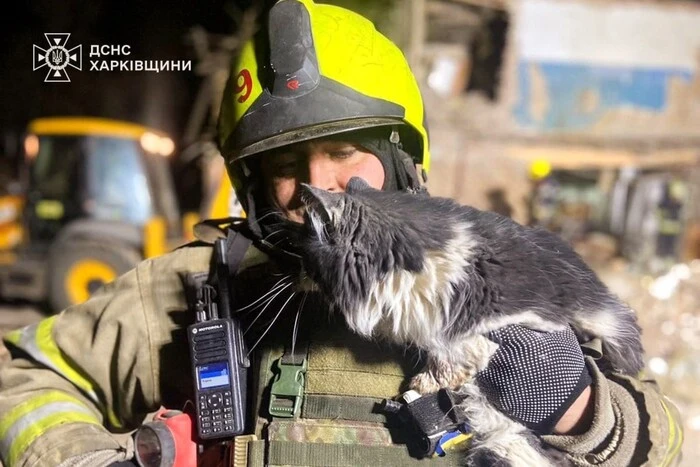 Спасен пухнастик в Харькове