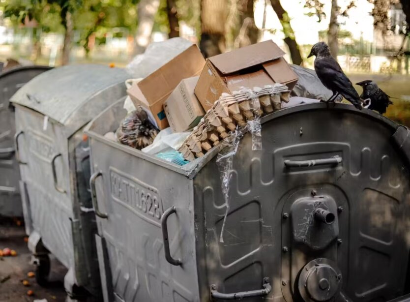 Сміттєві приписки: Попенко розповів, як керуючі компанії